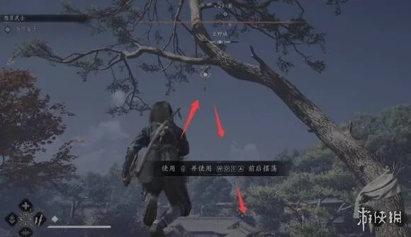 《刺客信条影》藏蝶人攻略：解锁神秘蝴蝶人任务全解析