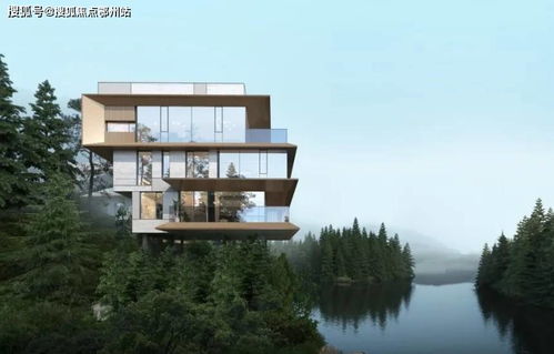 龙口德卡组攻略：深度解析全新策略与价值提升