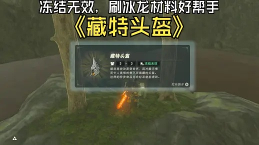 荒野猎人必看：盔速龙头壳获取攻略及神秘功效解析