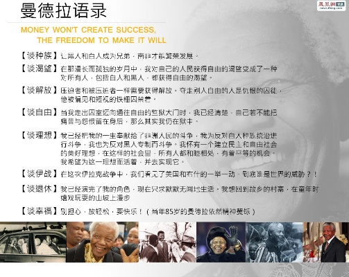 《秘影曼德拉》攻略：价格解析+预购福利+配置必备指南