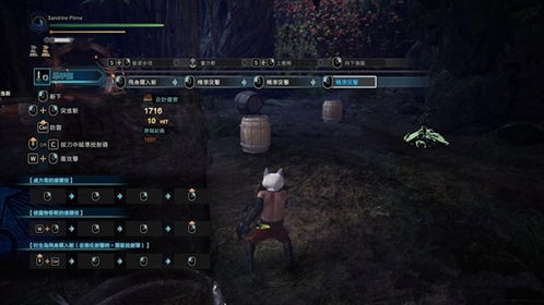 《荒野猎人》单手剑高伤秘籍：打造片手剑顶级配置攻略