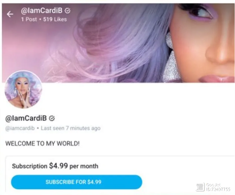 8500万巨捐背后：OnlyFans模特慈善新高度