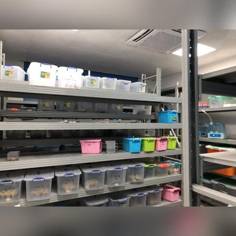 《怪物猎人荒野》植生研究所全解锁攻略：解锁秘籍一网打尽