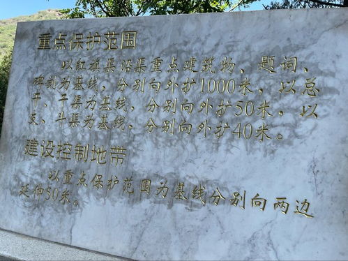 《双点博物馆》导览布局攻略：打造沉浸式参观新体验