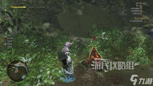 《怪物猎人荒野》大绯琥珀获取攻略,探秘悠久琥珀宝藏新途径 《怪物猎人荒野》大绯琥珀获取攻略,探秘悠久琥珀宝藏新途径