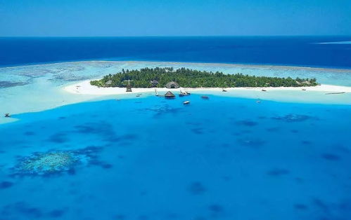 马尔代夫引领全球，打造无烟旅游新标杆