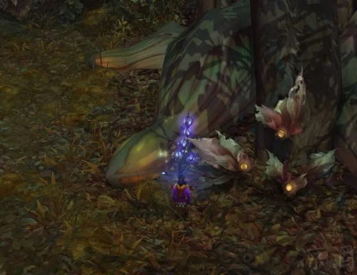 森林妖精幻化解析：荒野猎人新秘技揭秘