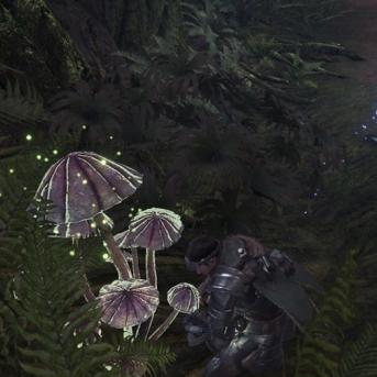 《荒野猎人》十大珍稀特产获取攻略，揭秘稀有度6特产获取秘籍