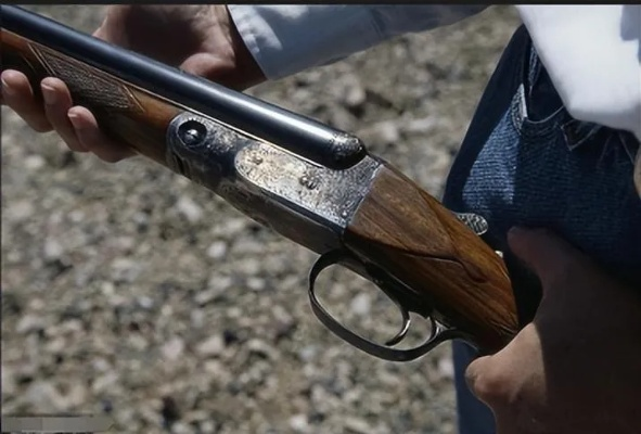 《荒野猎人铳枪1.0攻略》打造最强装备秘籍