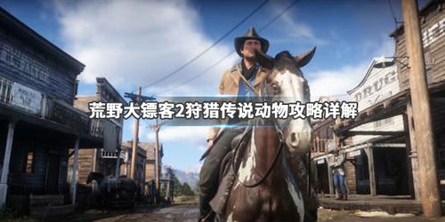 黑蚀龙重弩高效攻略：荒野狩猎新技巧解析