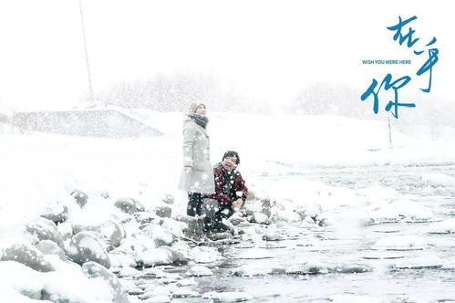 孤岛长椅探秘：揭秘《双影奇境》第六章神秘位置