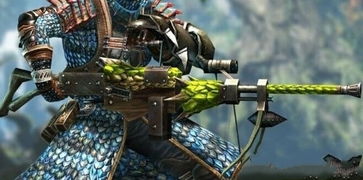 轻弩滑步腰射绝技，荒野贯通流配装攻略解析