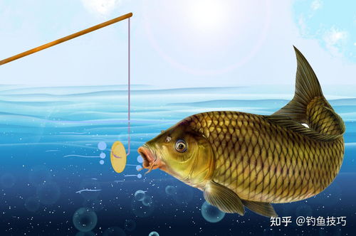 荒野寻宝：化石腔棘鱼钓点攻略大揭秘