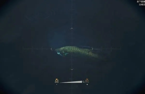 《荒野猎人》鱼类钓点全解析，钓技攻略一网打尽！