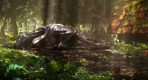 桃毛兽藏身荒野秘境，探秘素材掉落攻略全解析