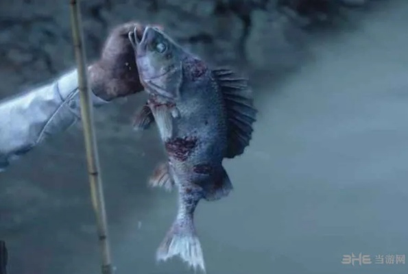 荒野猎人钓带卵弓鳍鱼攻略：高效技巧解锁新境界