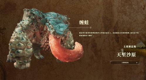 《怪物猎人荒野》全新缠蛙装甲样式MOD，探索独特时尚魅力