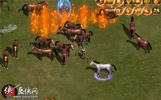 荒野重弩波衣龙攻略：全面解析衍生样式与狩猎路线