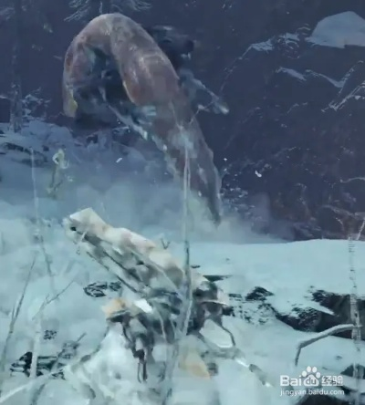 《怪物猎人荒野》冰雾断崖钓点攻略：冰钓秘境鱼类全解析