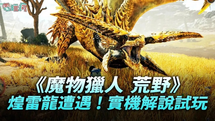 煌雷龙长枪样式解析，荒野猎人路线攻略全收录