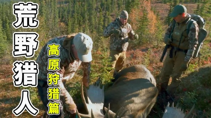 《荒野猎人矿石素材狩猎笛样式解析与路线攻略》