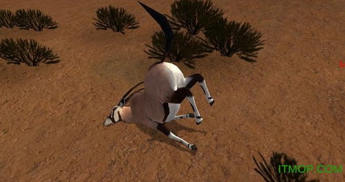 火焰伞蜥狩猎攻略：荒野捕获技巧大揭秘