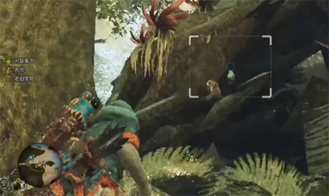 端丽翼鸟捕捉攻略：荒野狩猎新技巧解析