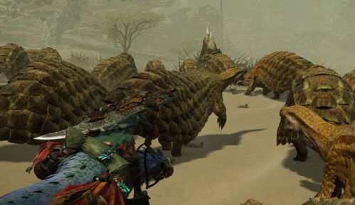 《怪物猎人荒野》历战狩猎之证3攻略：高效获取新技巧揭秘