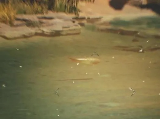 荒野猎手必学！高效钓法捕捉带卵弓鳍鱼技巧解析