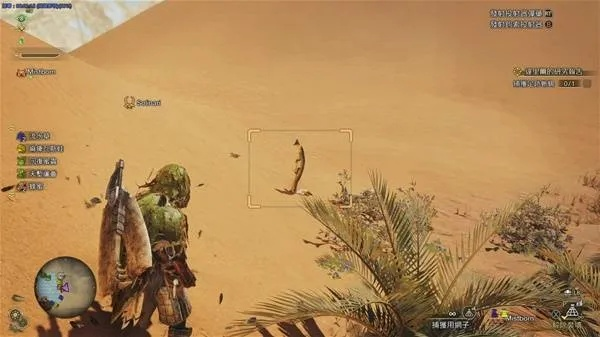 荒野狩猎新秘境：足迹蜥蜴捕捉与沙之流星攻略解析