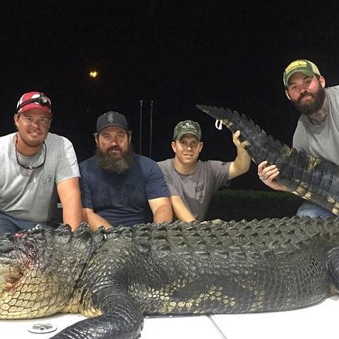 荒野猎人捕怪攻略：高效捕获技巧揭秘新解