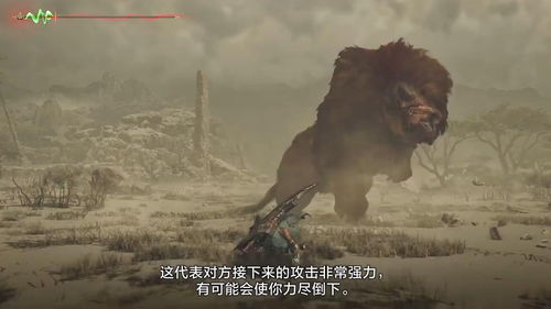 荒野奇遇！揭秘《怪物猎人》大虚无动神秘位置攻略