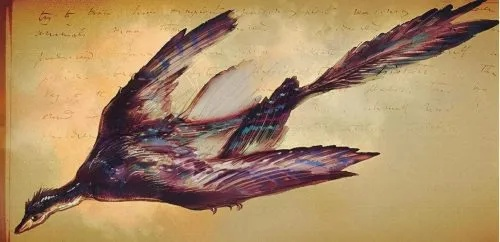 端丽翼鸟藏身之谜，达里尔研究报告攻略解析