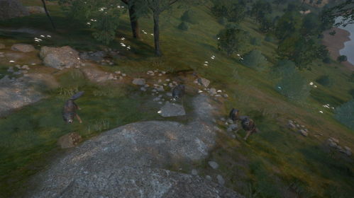 荒野追踪：足迹蜥蜴神秘藏匿，探秘新坐标！