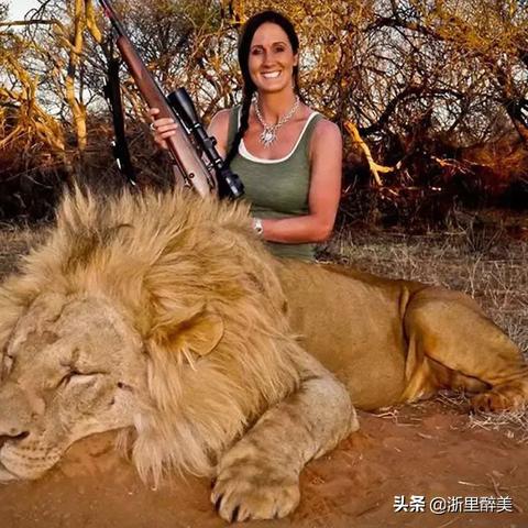 雪狮子王猎杀攻略：高效打法与珍贵掉落解析