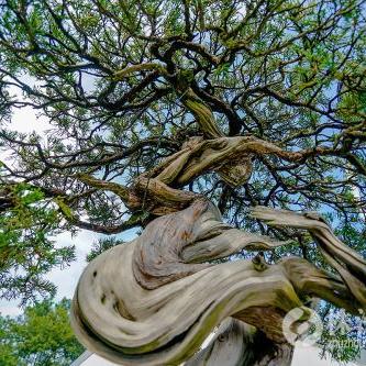 荒野营地攻略：深度解析《怪物猎人》隐藏宝藏