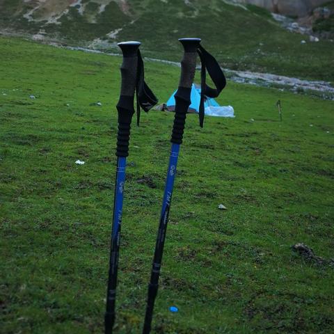 荒野探险必备：独家揭秘《怪物猎人》安全营地秘境