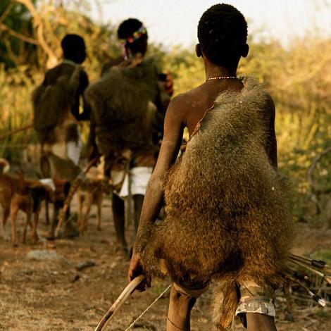 《荒野狩猎秘籍：新手必学高效战斗技巧》