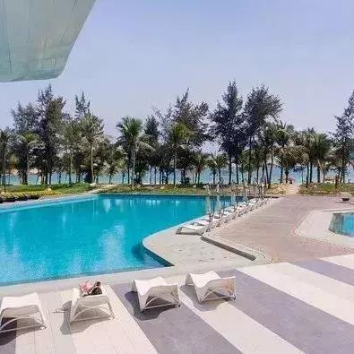 《荒野秘境探秘：怪物猎人荒野攻略秘籍全收录》