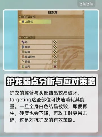 白炽龙终极挑战攻略：揭秘高效打法新策略