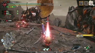 《荒野猎人》刺花蜘蛛攻略：高效打法与珍贵掉落解析