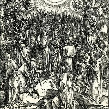 《天国拯救2》圣约翰草高效采集攻略，一网打尽神秘草药！