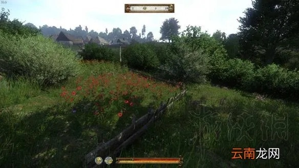 《天国拯救2》高效颠茄采集攻略，掌握神秘草药新技巧