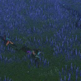 《荒野猎怪双刀绝技，输出秘籍深度解析》