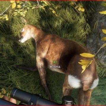 《荒野猎人》怪物弱点攻略，独家实机分享新视角