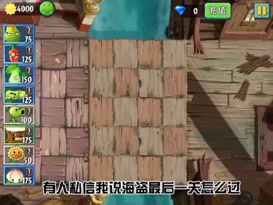 夏威夷海盗测验证书攻略，揭秘高分通关秘籍！