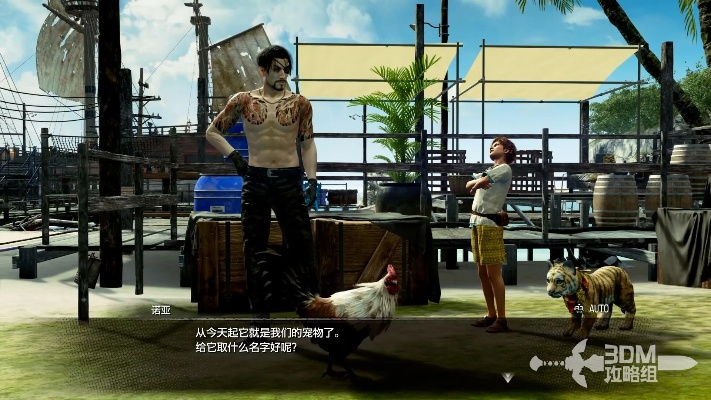 《如龙8外传夏威夷海盗》修改器深度解析，高效玩法分享攻略