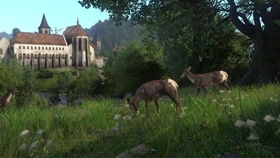 《天国拯救2》前期速刷颠茄攻略，高效采集新技巧揭秘