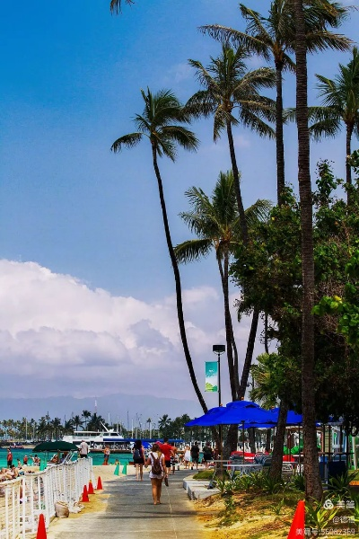 夏威夷檀香市独家摄影攻略，揭秘如龙8外传最佳拍照点