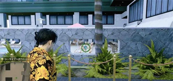 夏威夷海盗版《如龙8》金色蜻蜓获取攻略，独家揭秘位置技巧